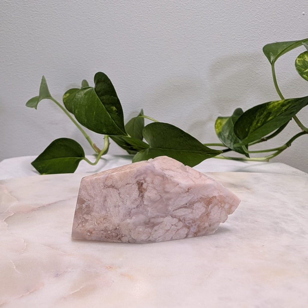 Pink Flower Agate Freeform