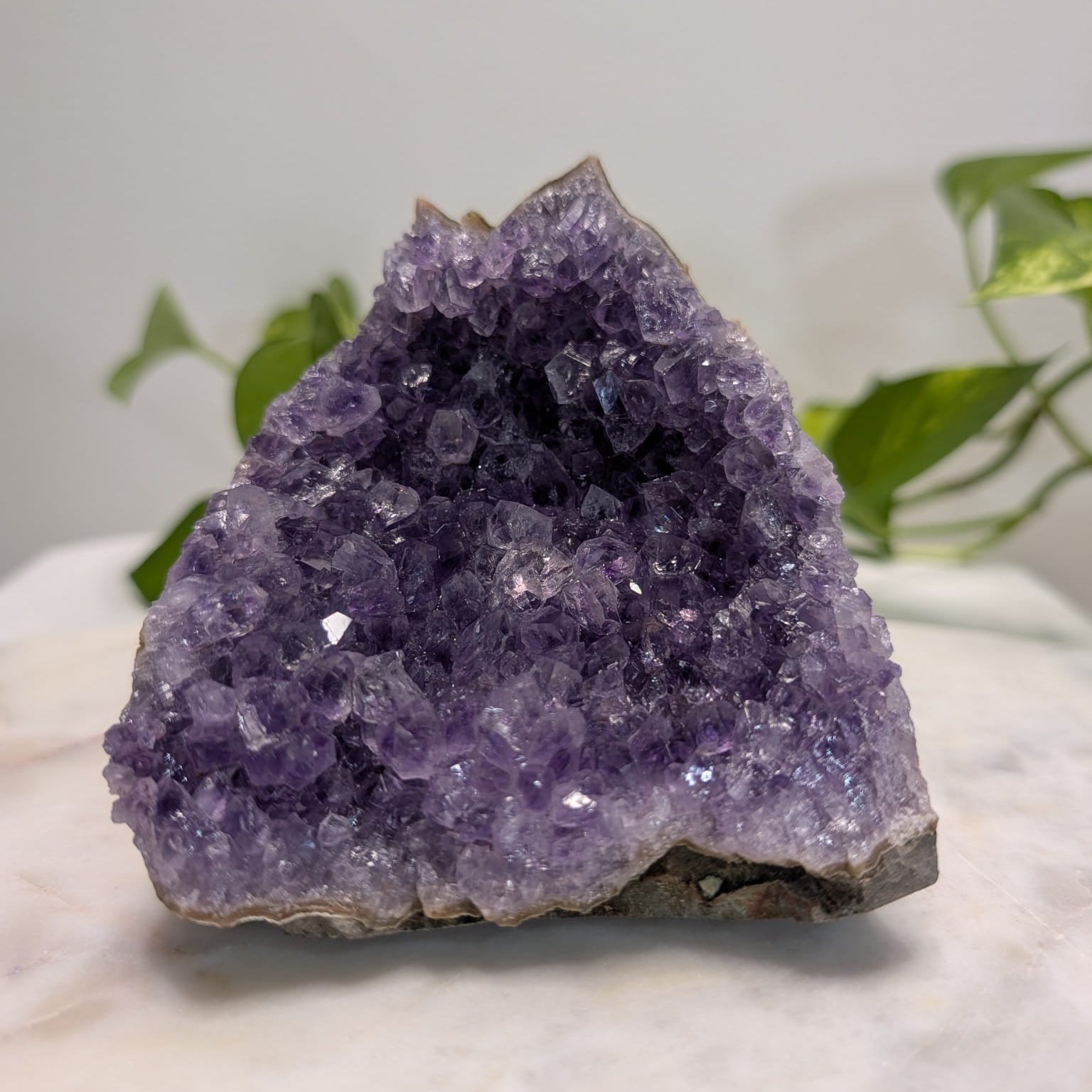 Amethyst Cluster