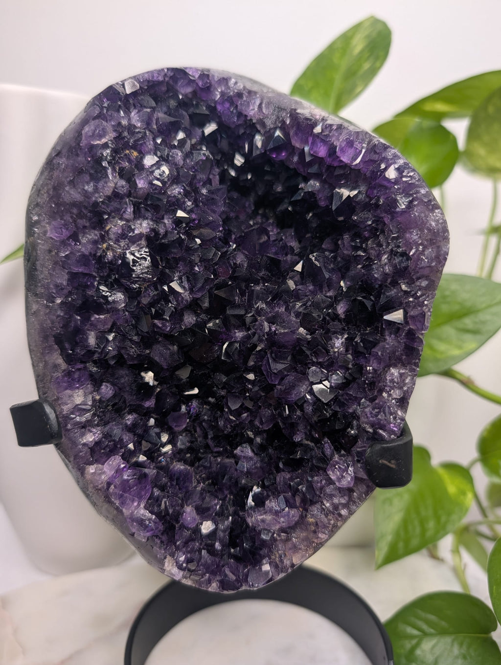 Amethyst Cluster on stand