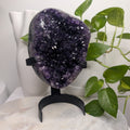 Amethyst Cluster on stand