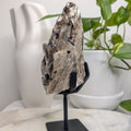 Golden Mica with Tourmaline on stand
