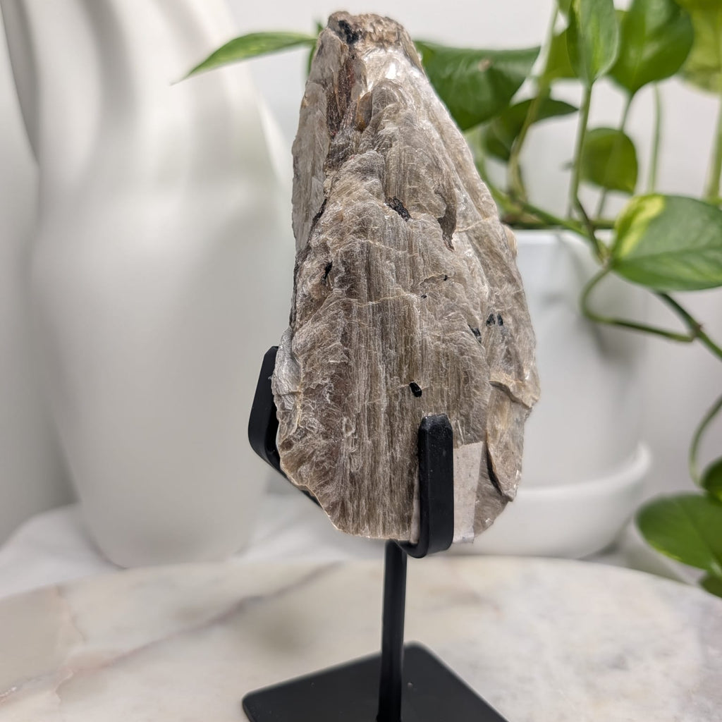 Golden Mica with Tourmaline on stand
