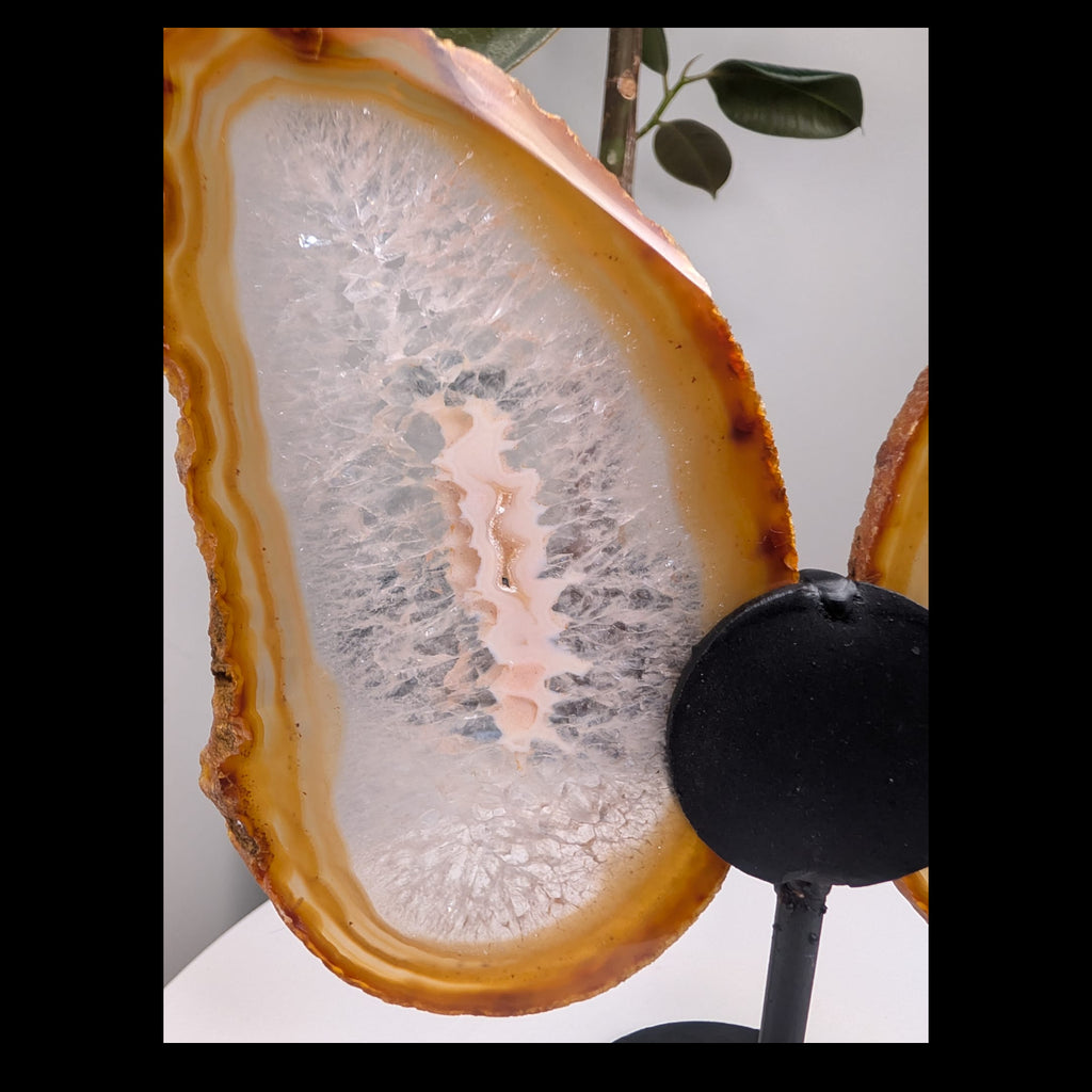 Agate Butterfly on stand