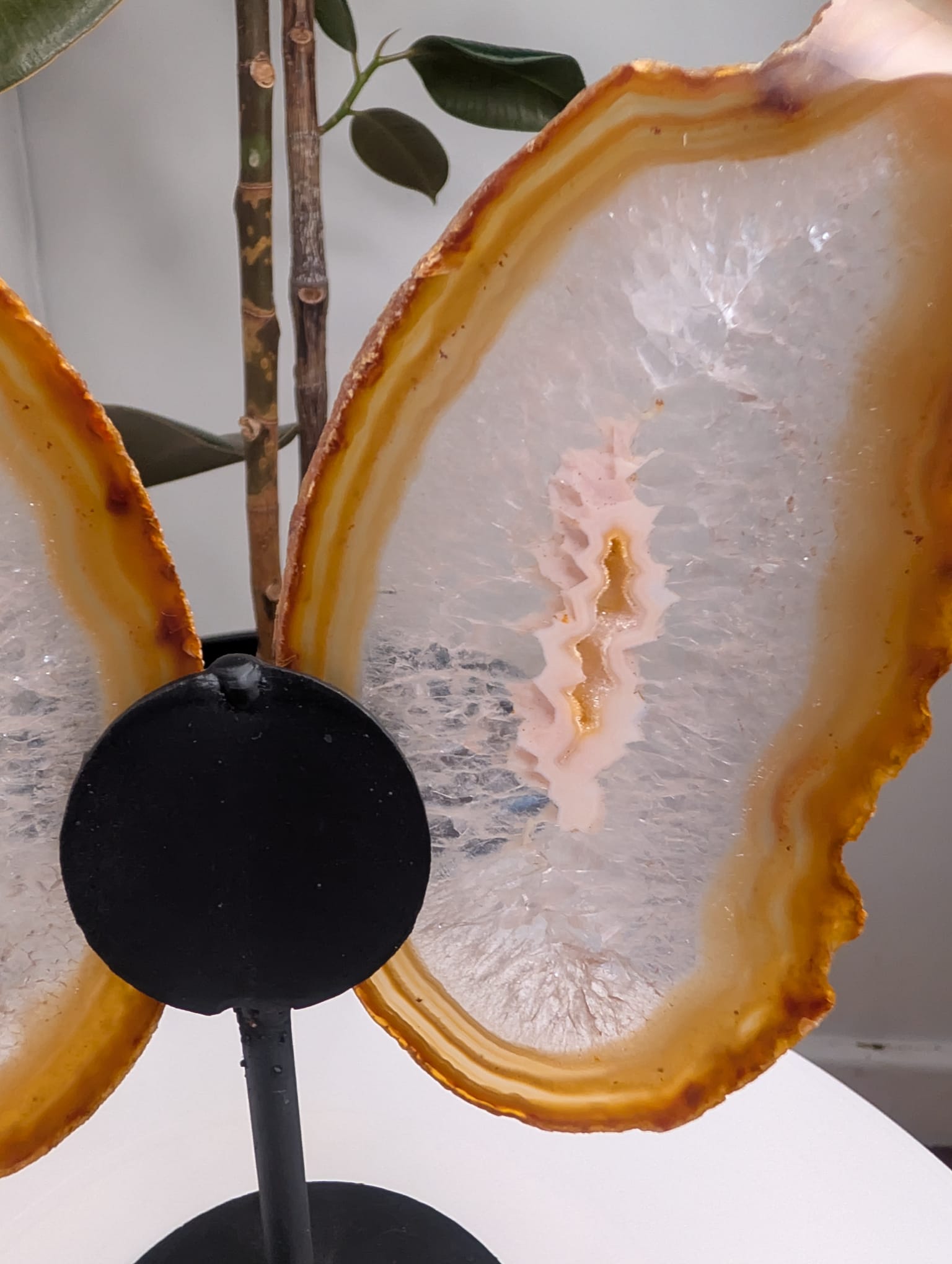 Agate Butterfly on stand