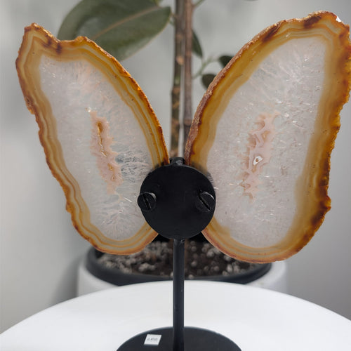 Agate Butterfly on stand
