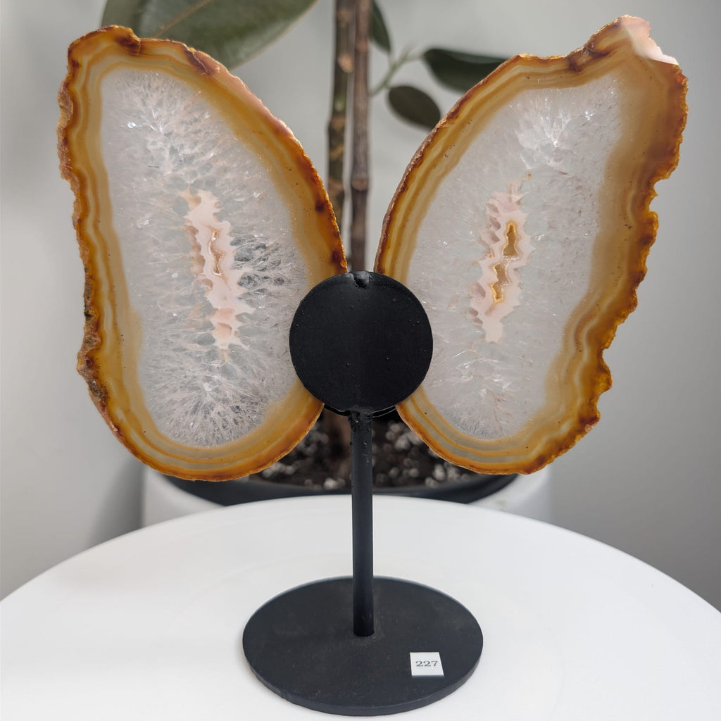 Agate Butterfly on stand