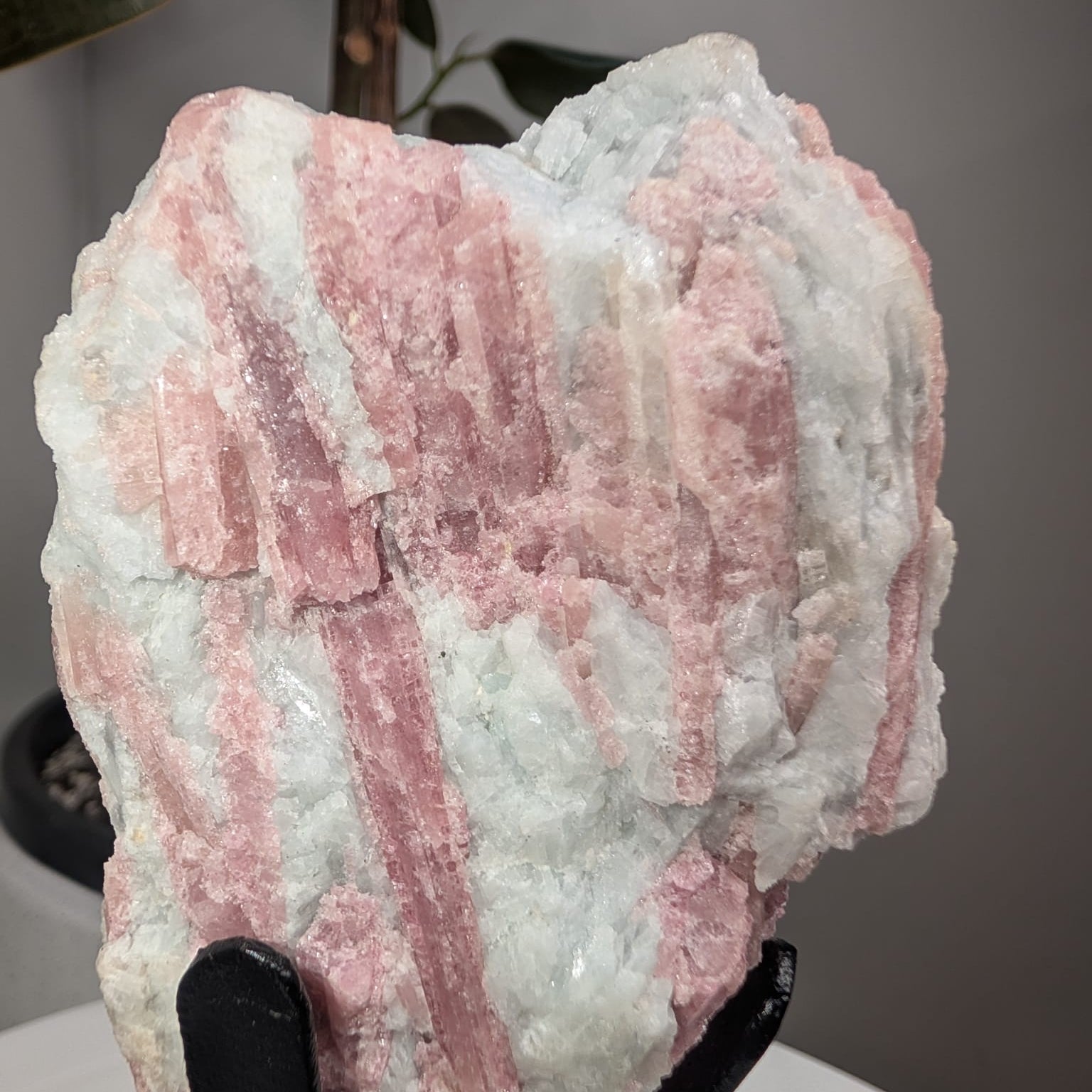 Pink Tourmaline on stand