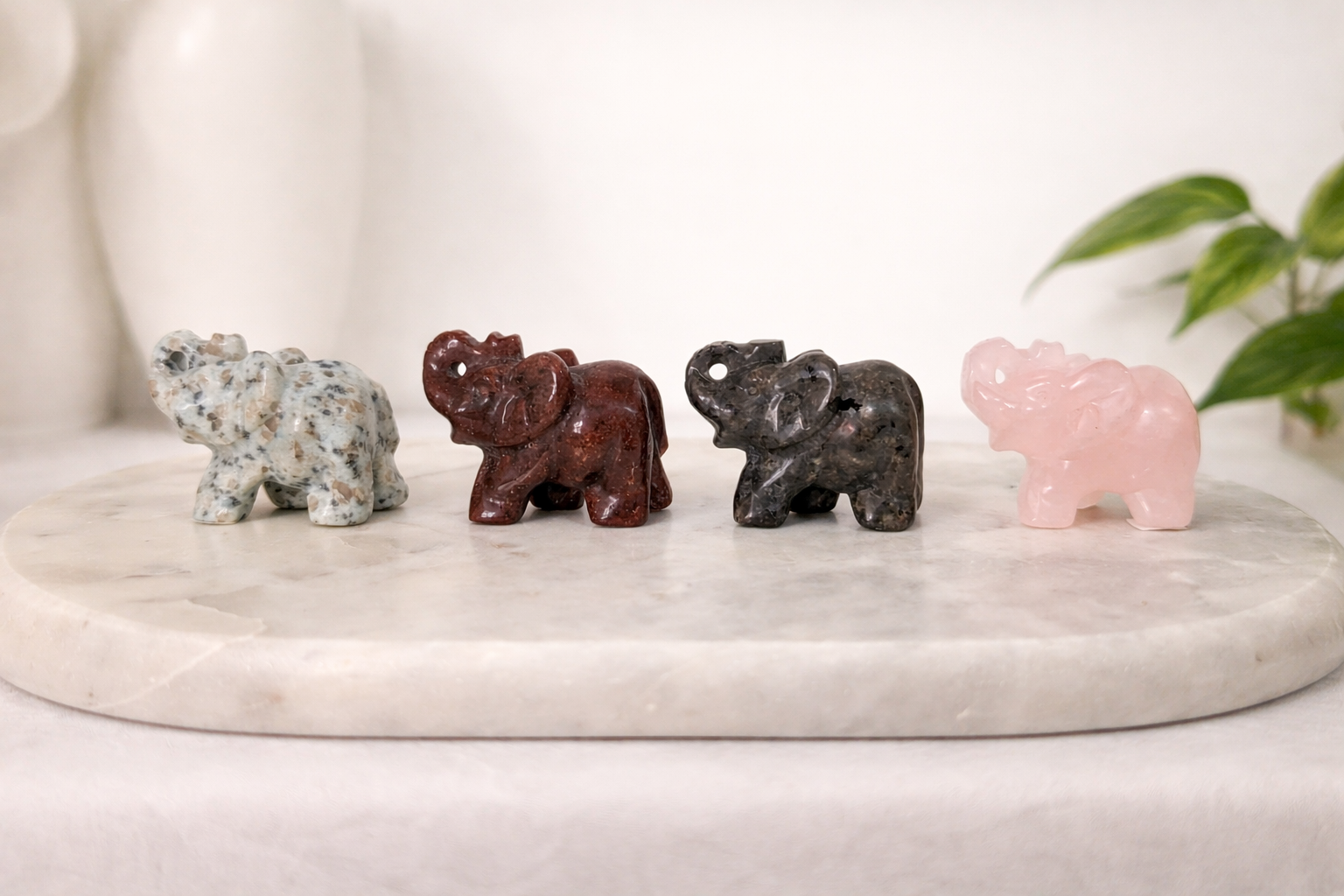 Kiwi Jasper Elephant