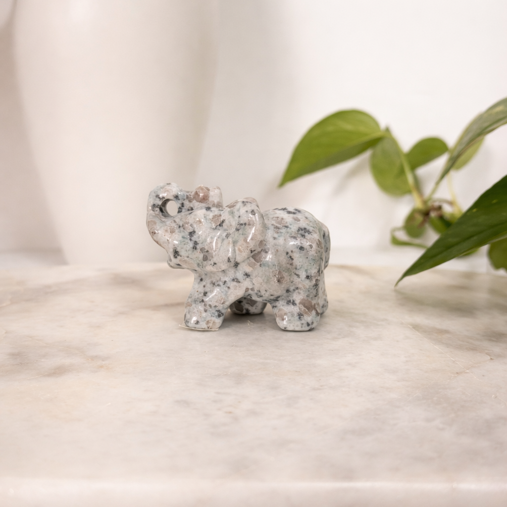 Kiwi Jasper Elephant