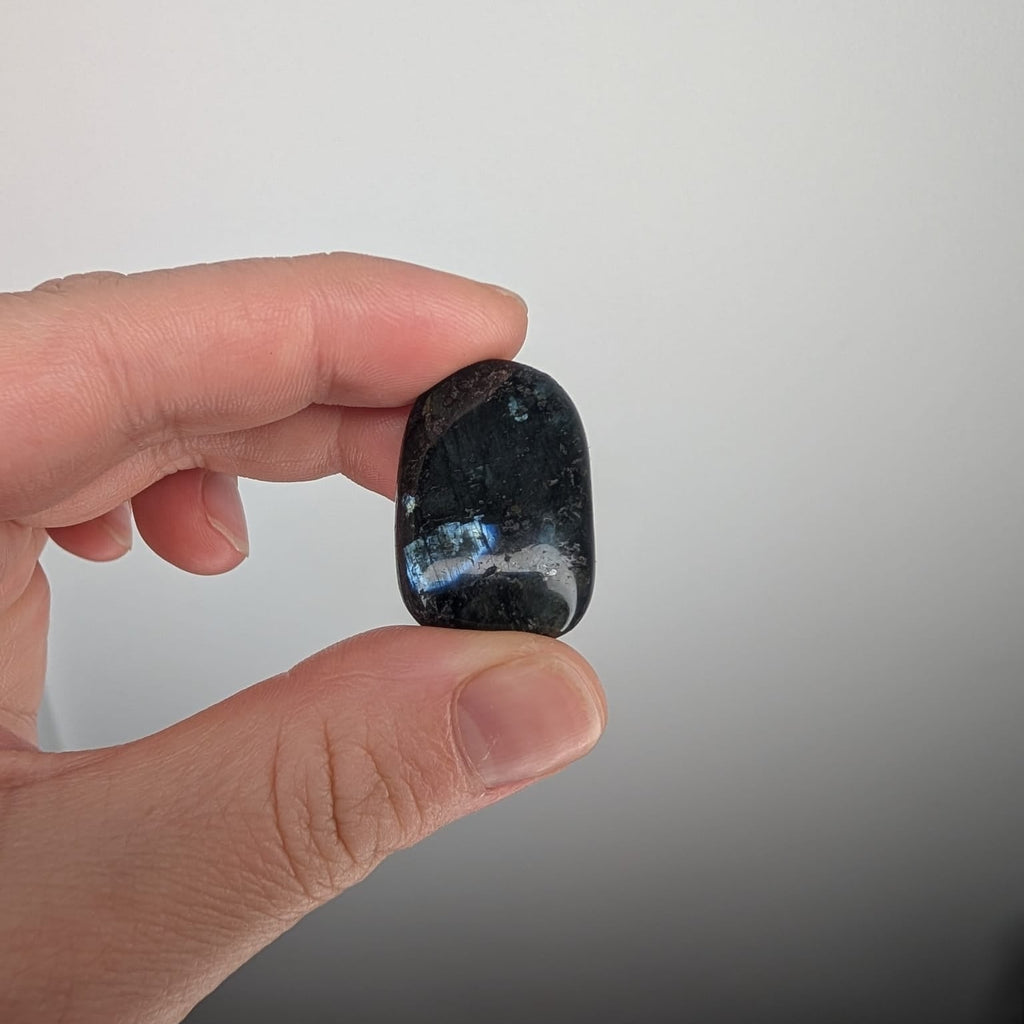 Larvikite Tumblers