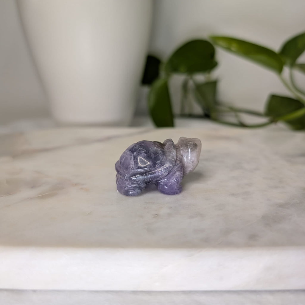 Amethyst Turtle