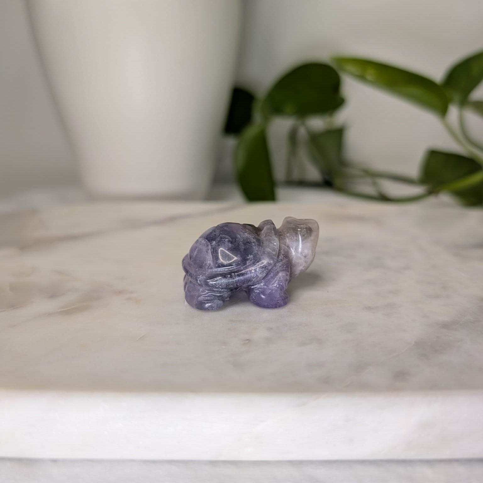 Amethyst Turtle