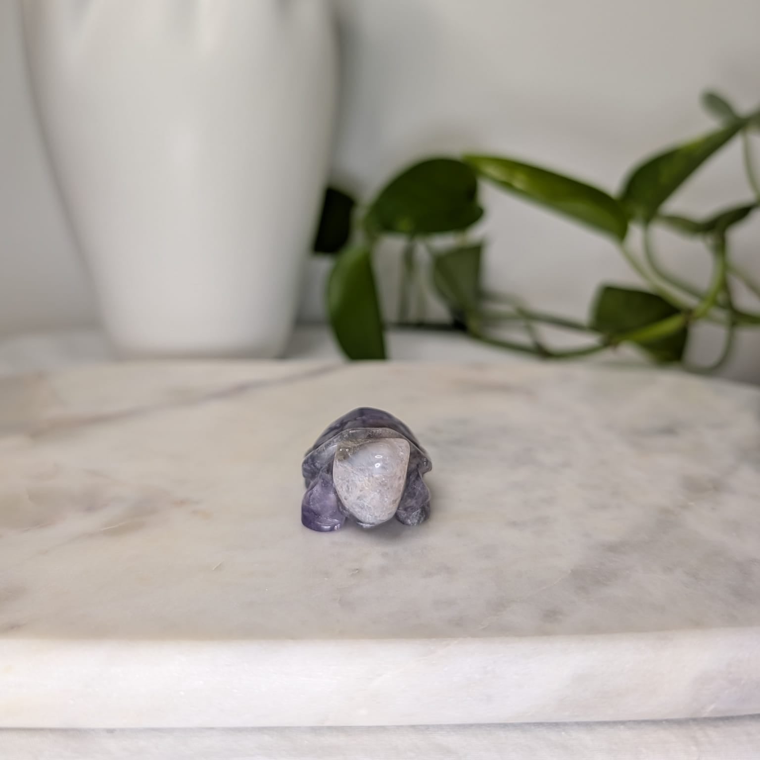 Amethyst Turtle