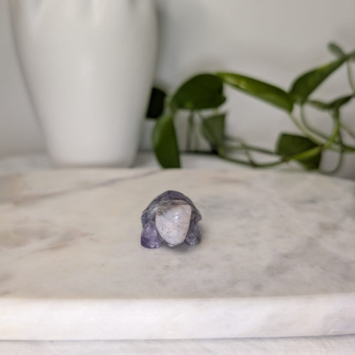 Amethyst Turtle