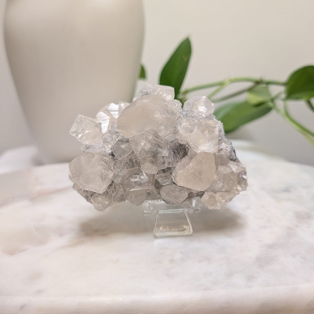 Apophyllite Cluster