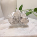 Apophyllite Cluster