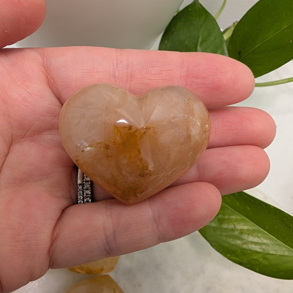 Golden Healer Mini Hearts