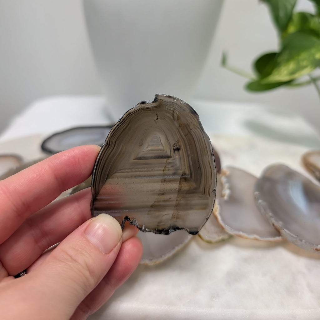 Agate slice