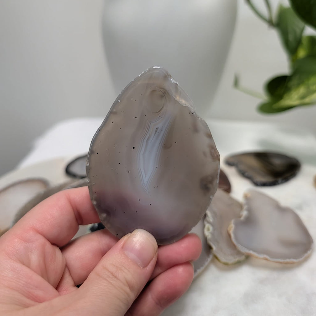 Agate slice