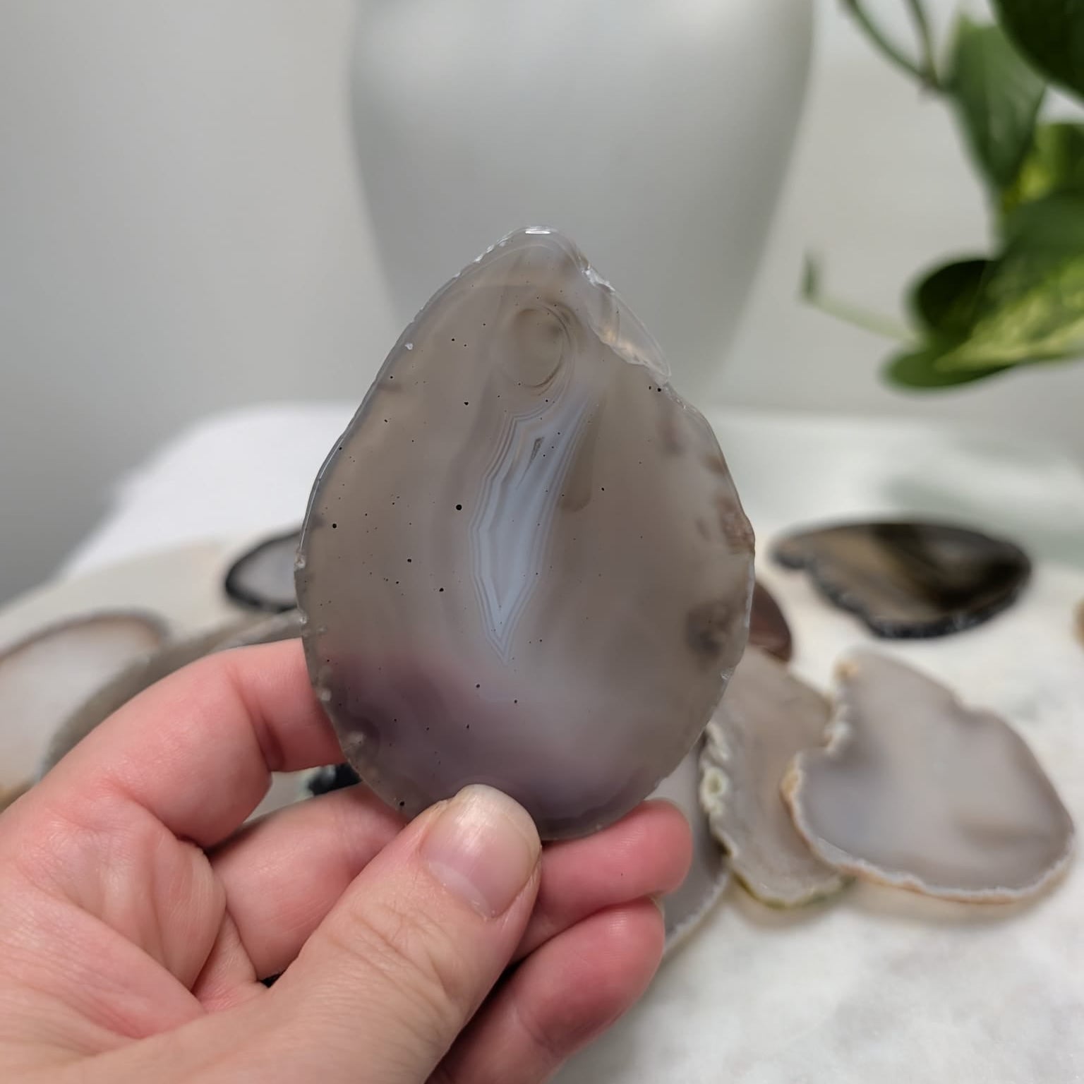 Agate slice