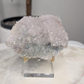 Zeolite on stand