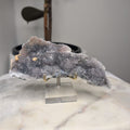 Zeolite on Stand