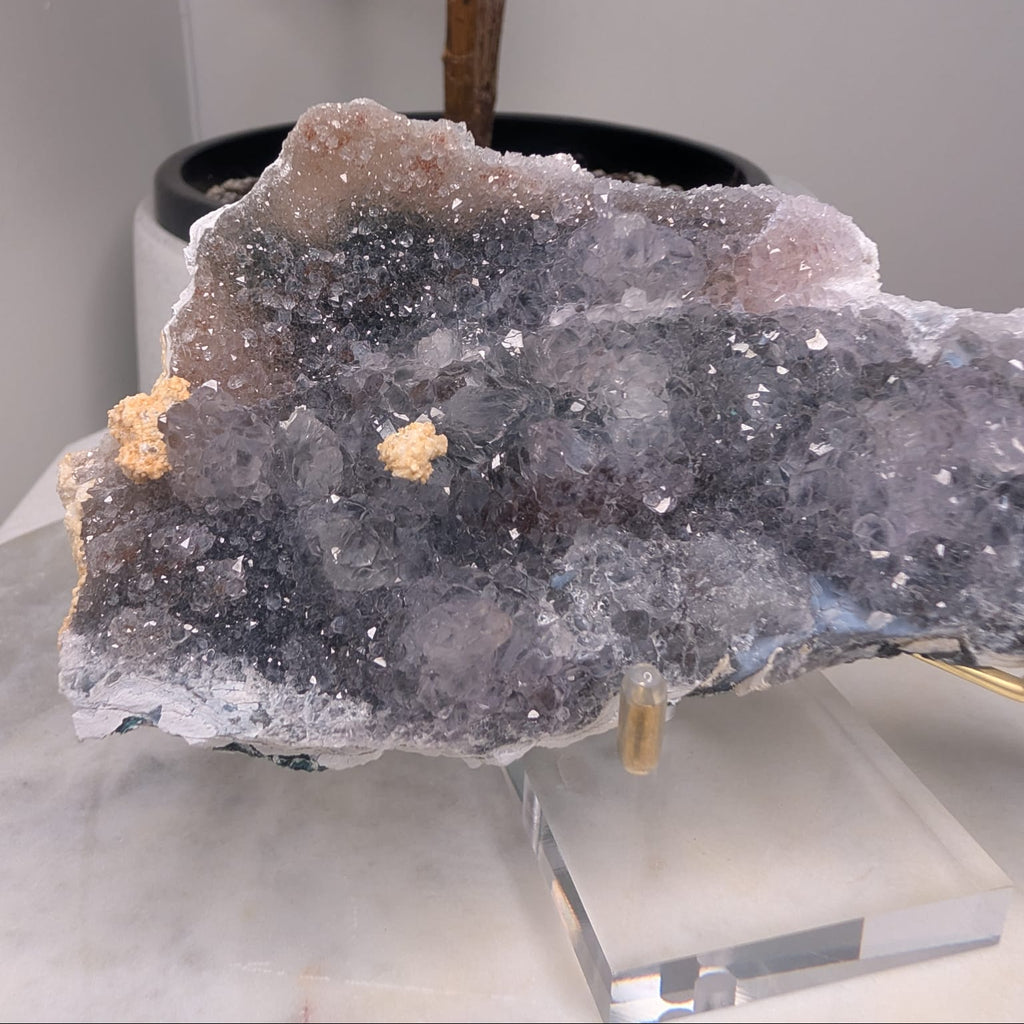 Zeolite on Stand