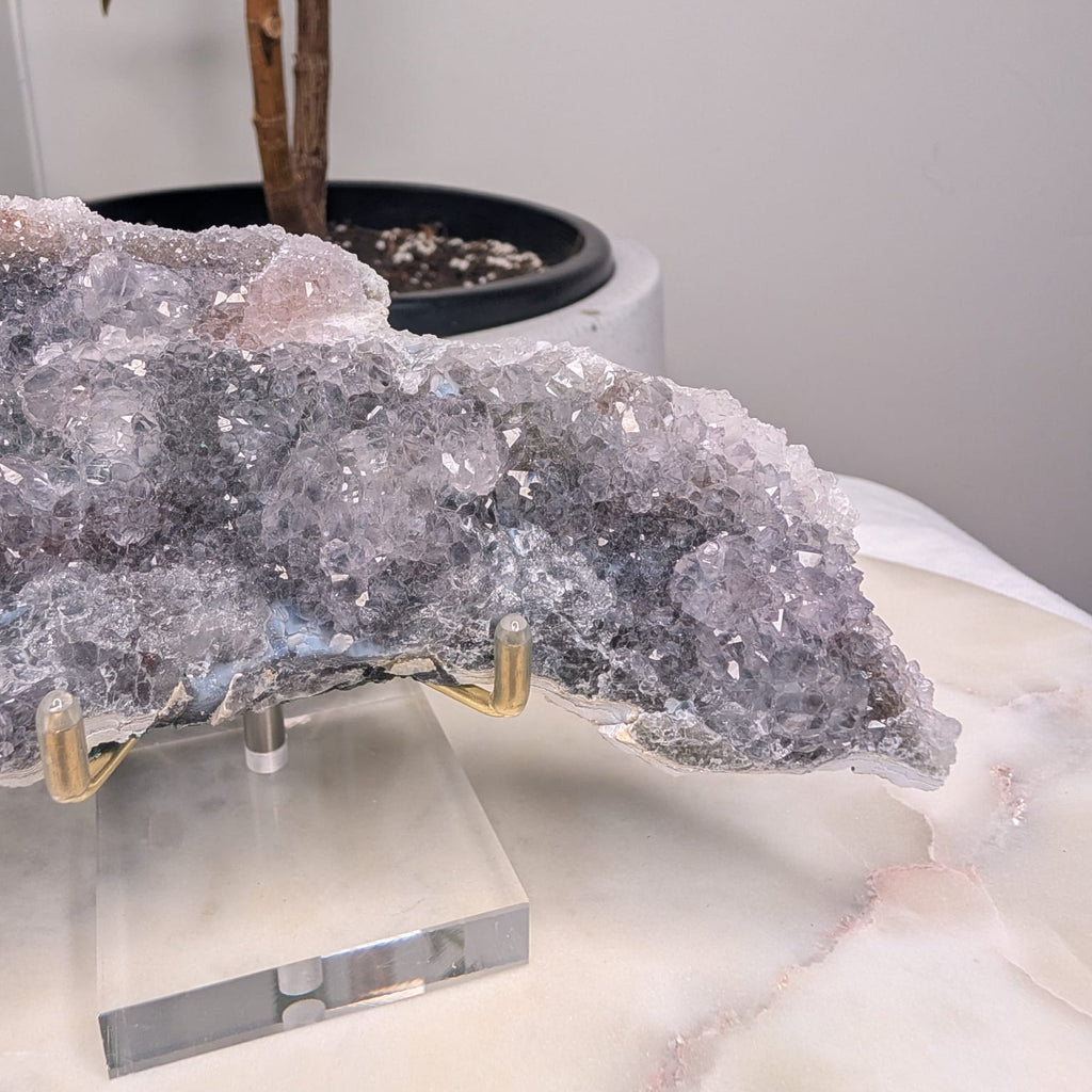 Zeolite on Stand