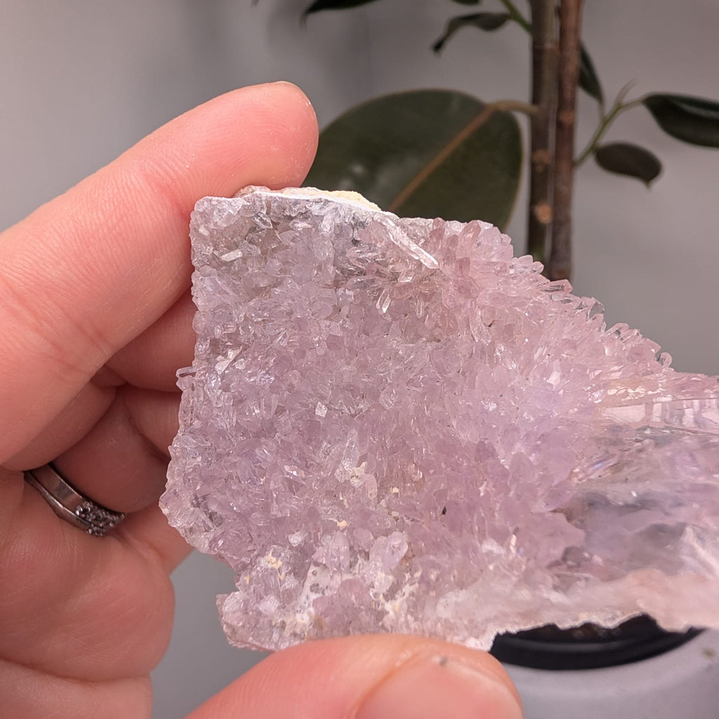 Raw Zeolite