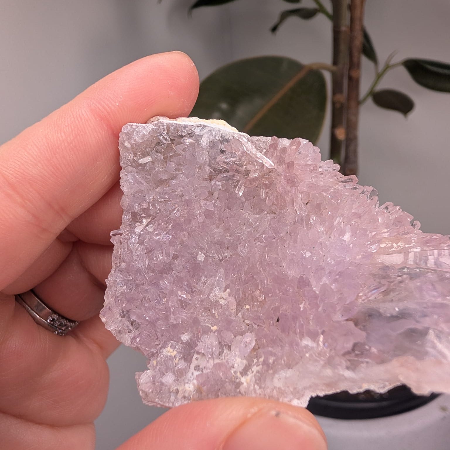 Raw Zeolite