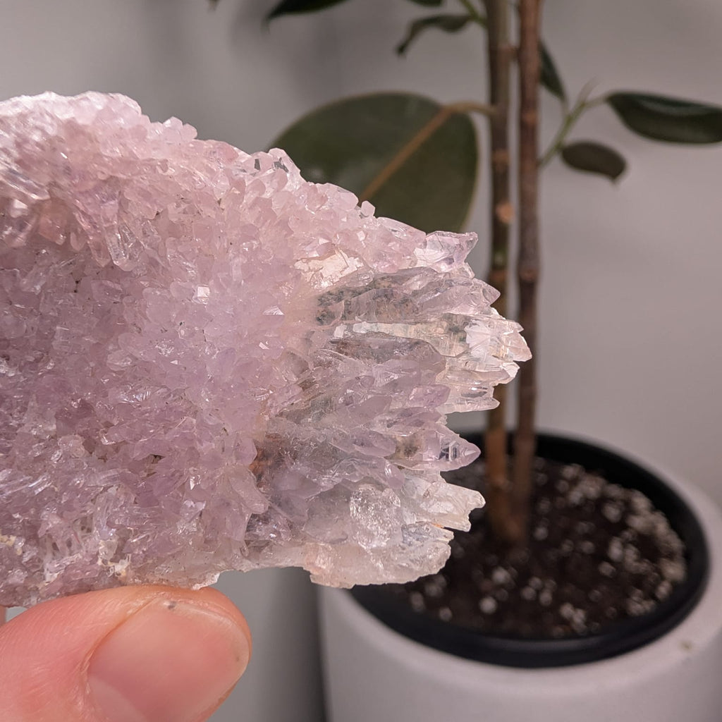 Raw Zeolite