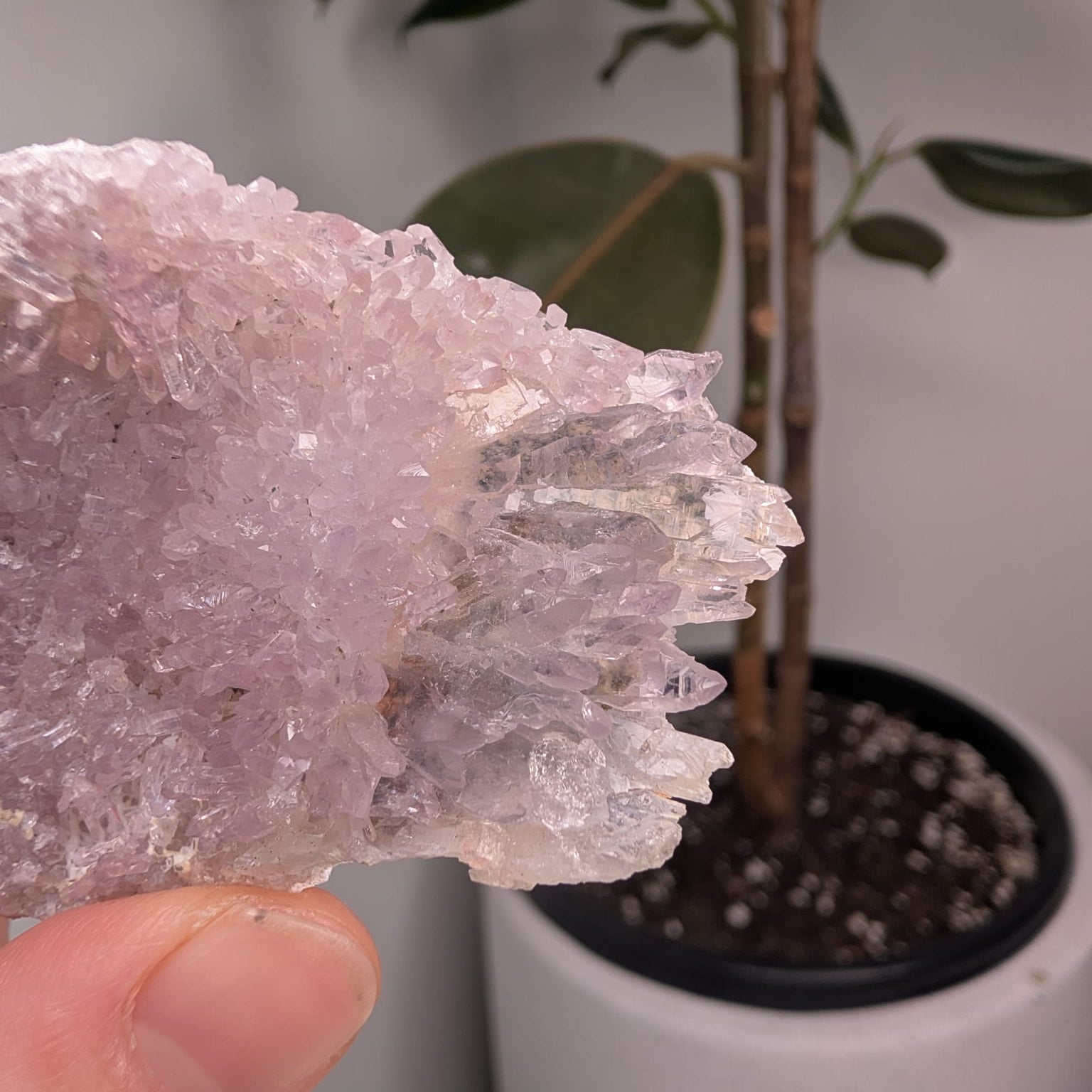 Raw Zeolite