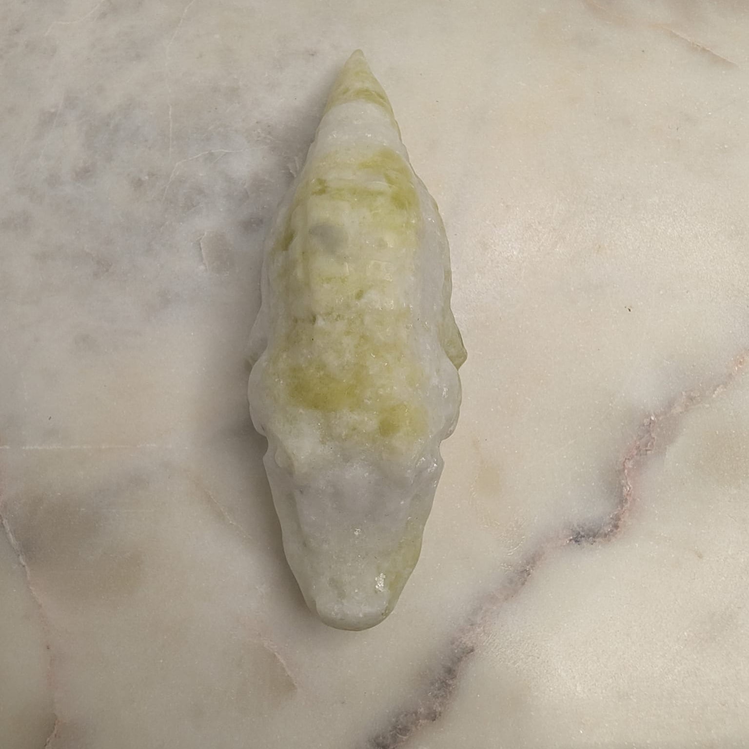 Light Green Serpentine Crocodile