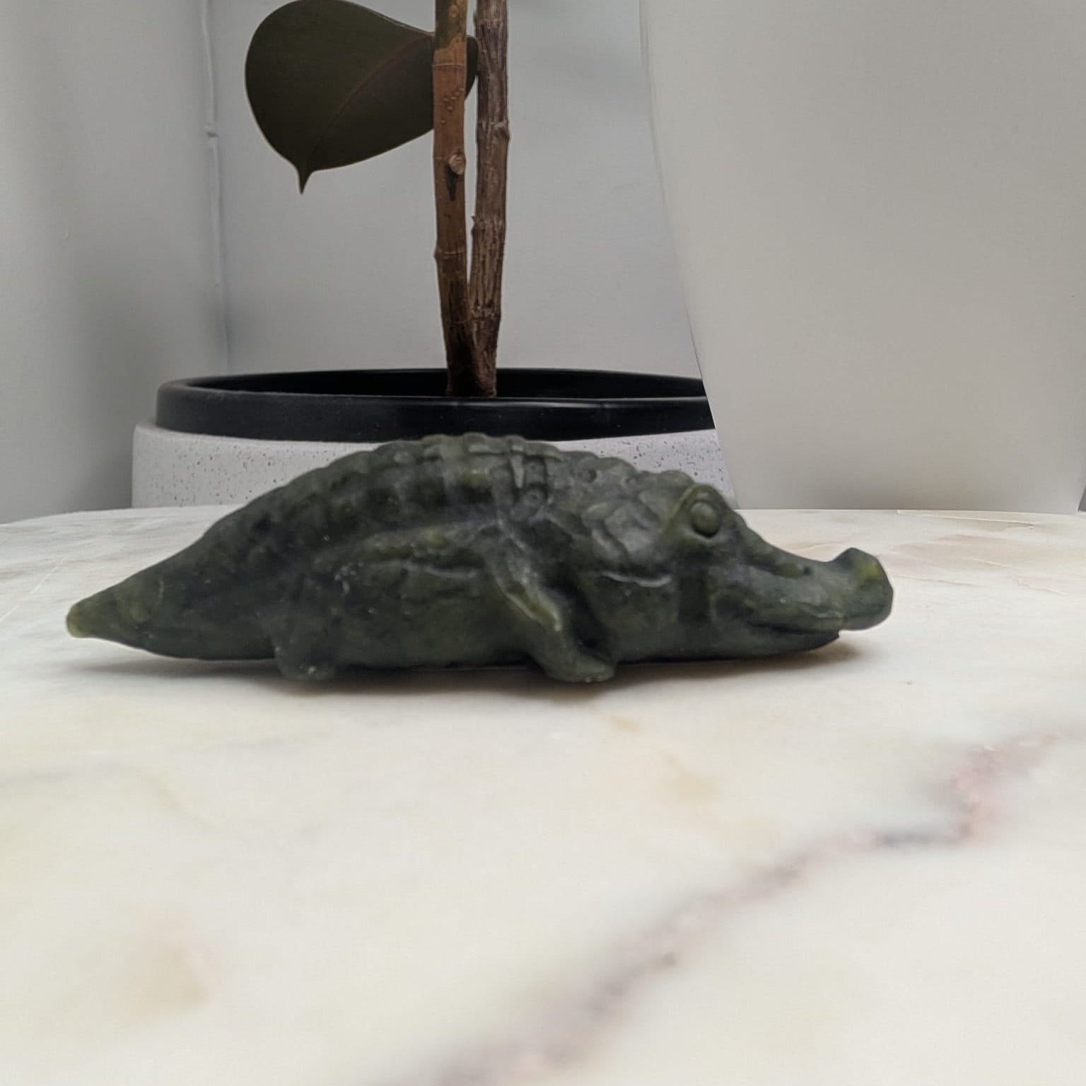Serpentine Crocodile