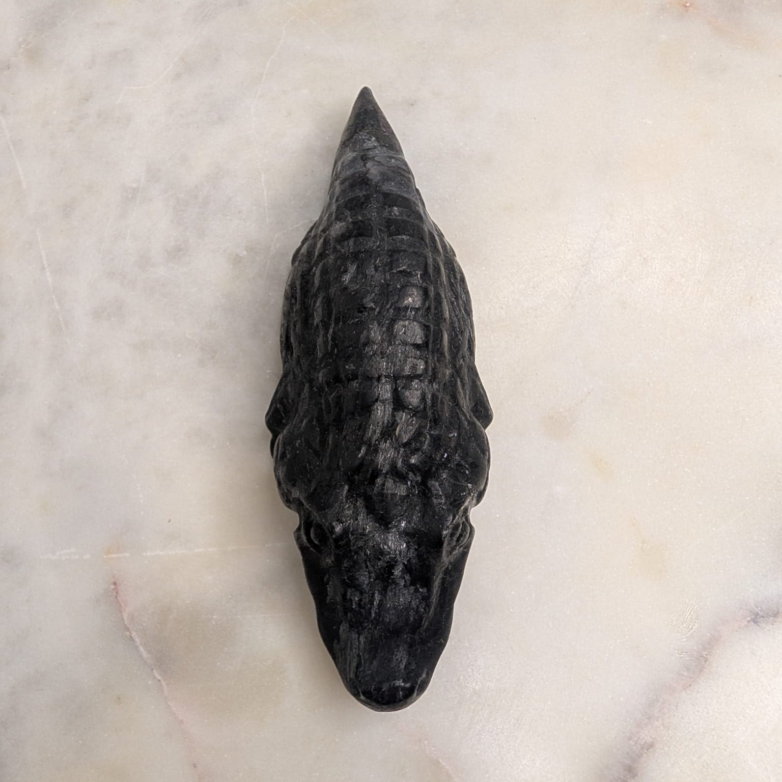 Garnet Crocodile
