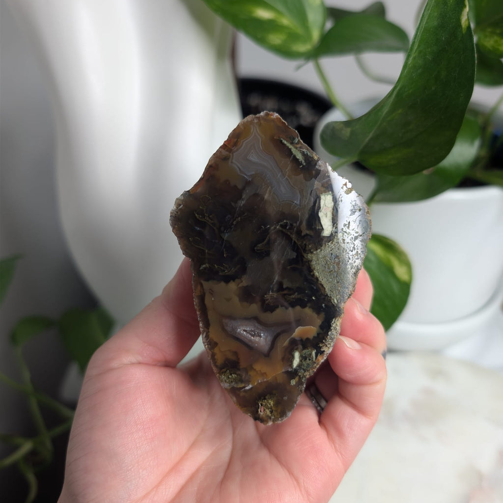 Timor Agate Freeform
