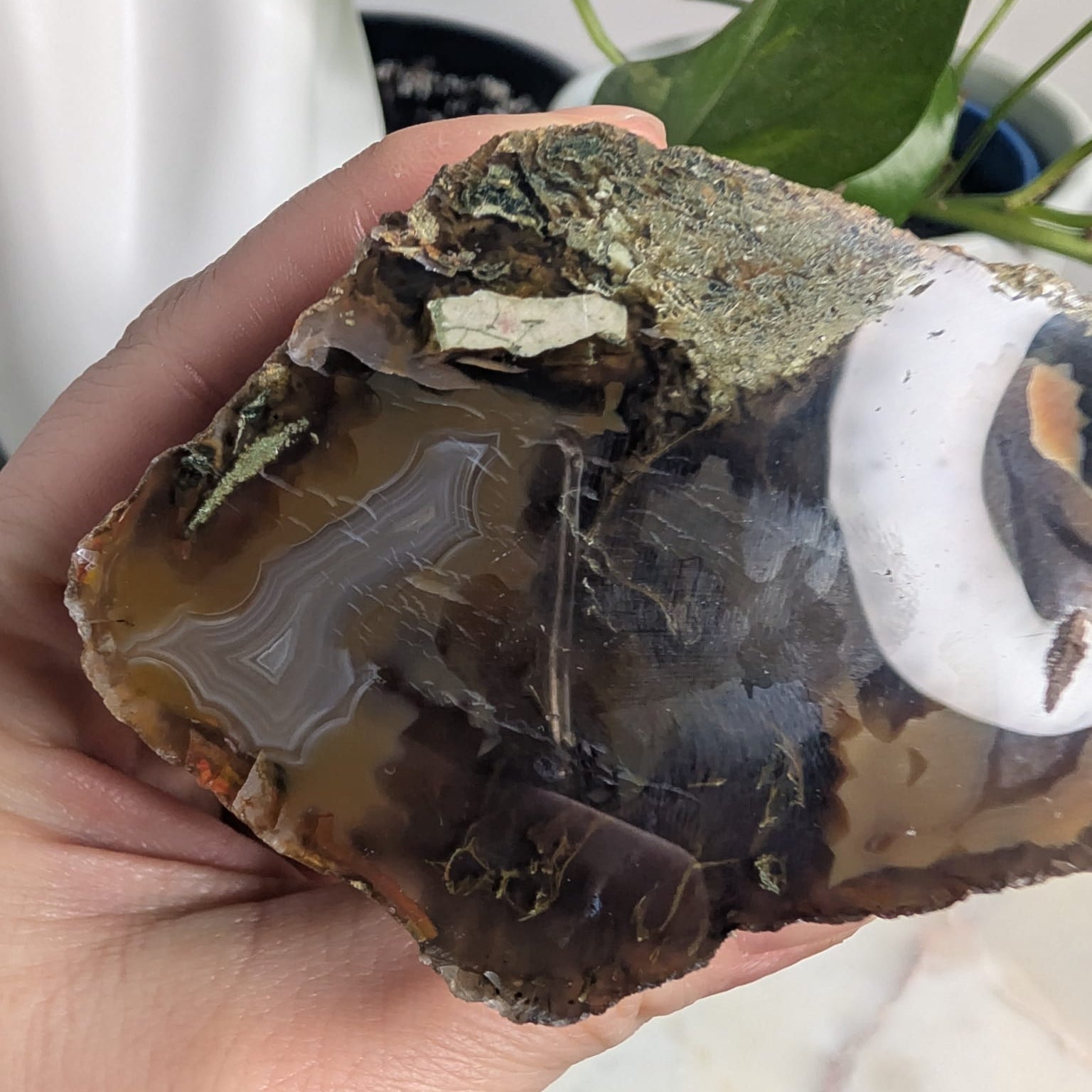 Timor Agate Freeform