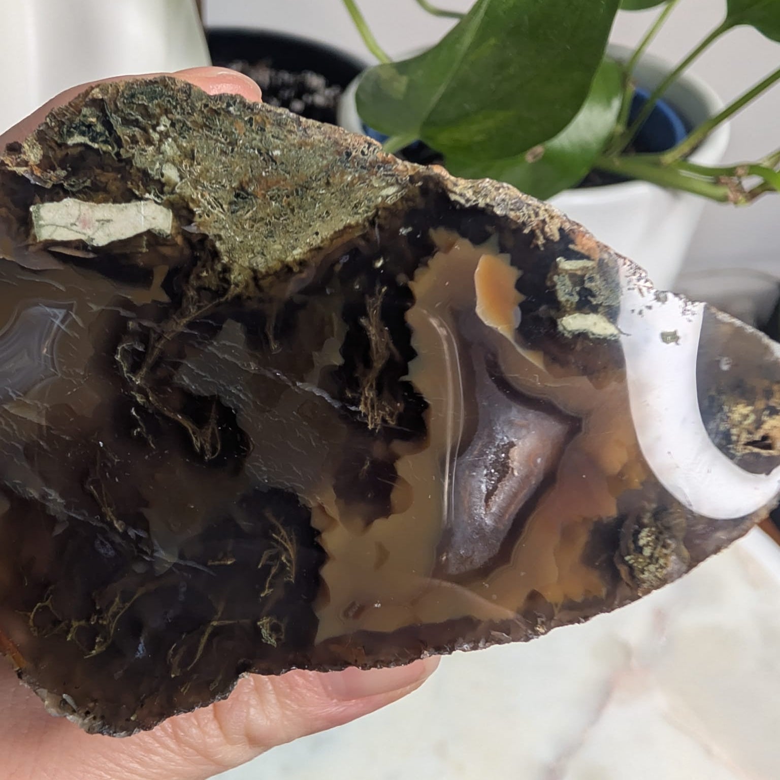 Timor Agate Freeform