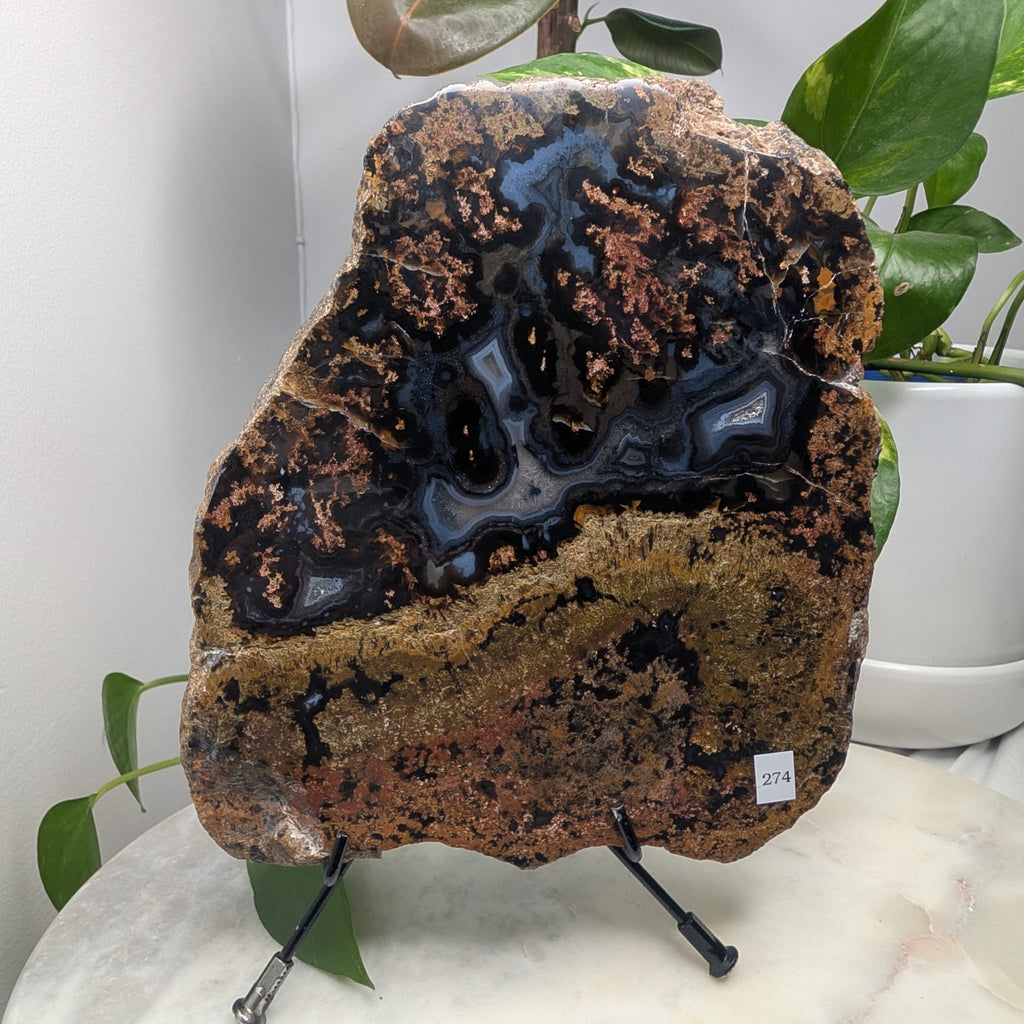 Timor Agate Slab
