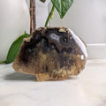 Timor Agate Freeform