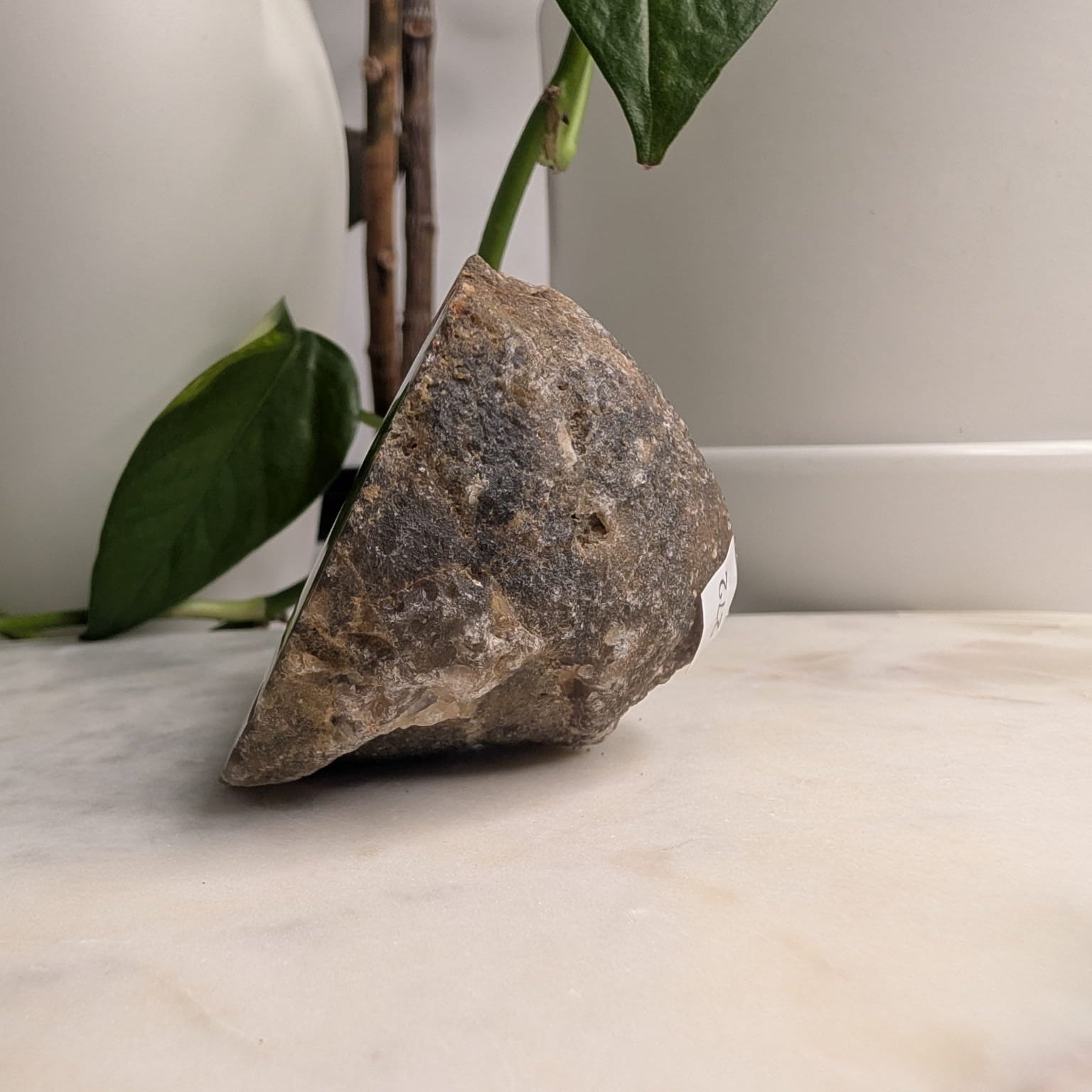 Timor Agate Freeform