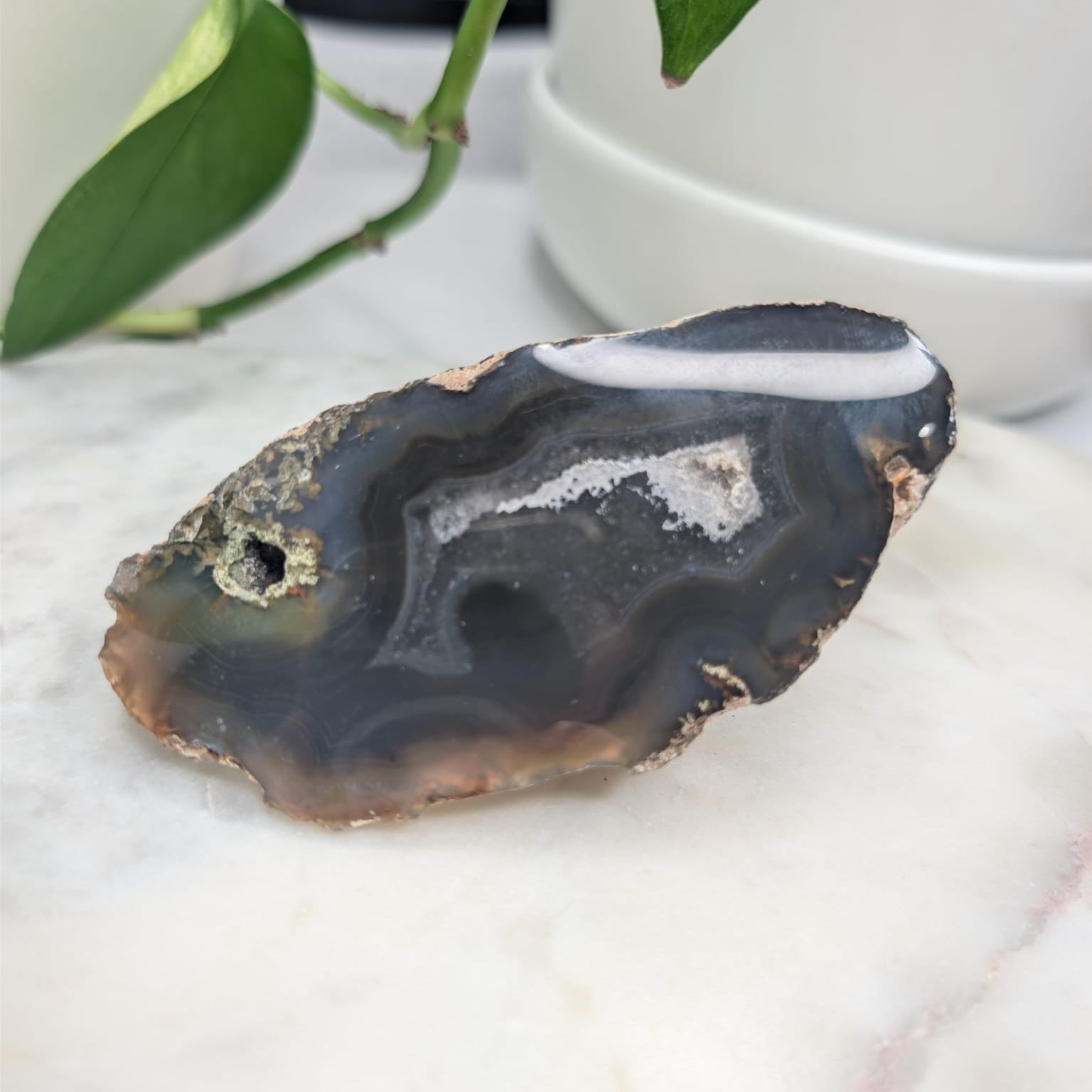 Timor Agate Freeform
