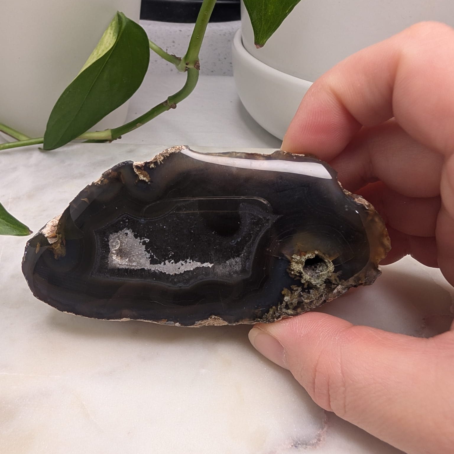 Timor Agate Freeform