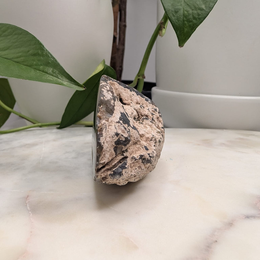 Timor Agate Freeform