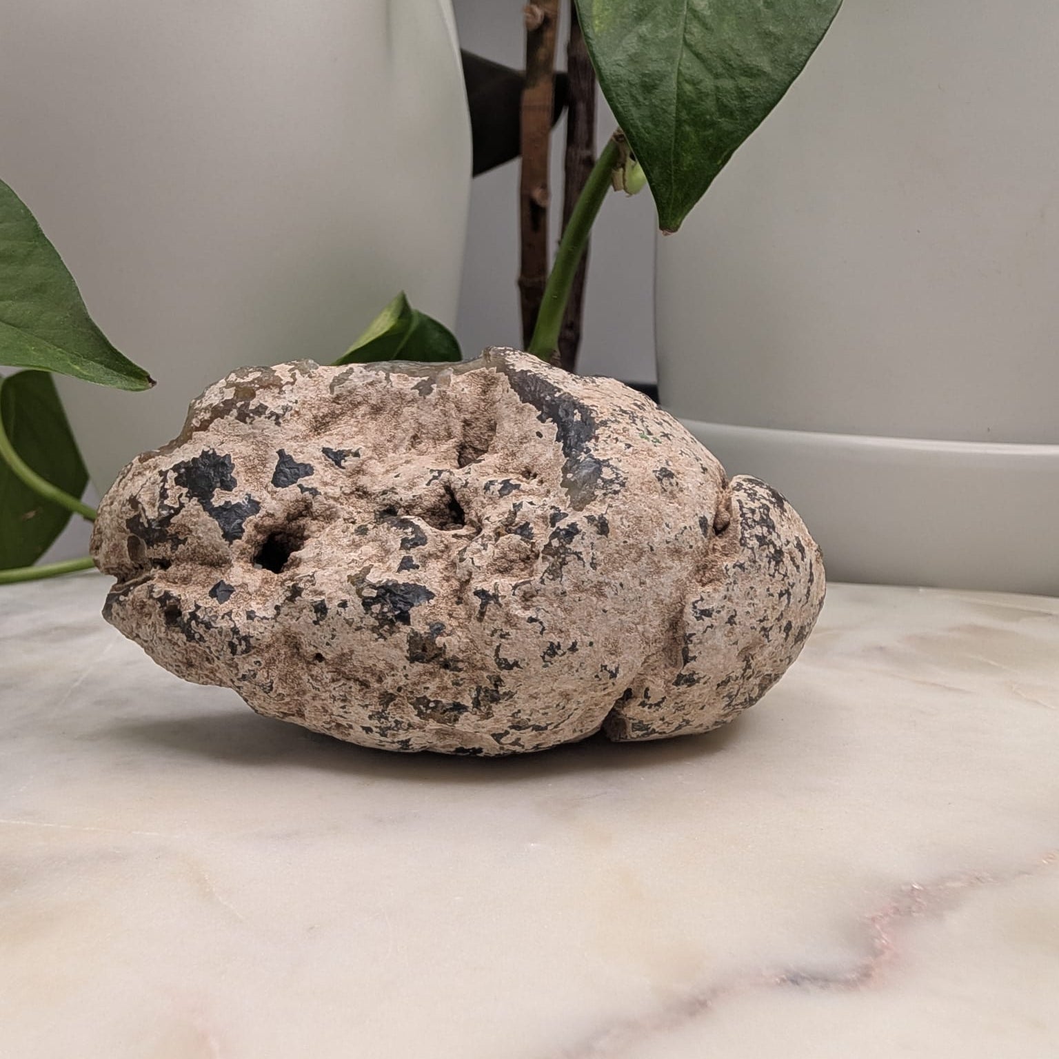 Timor Agate Freeform