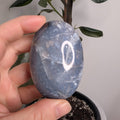Blue Plume Agate Palmstone