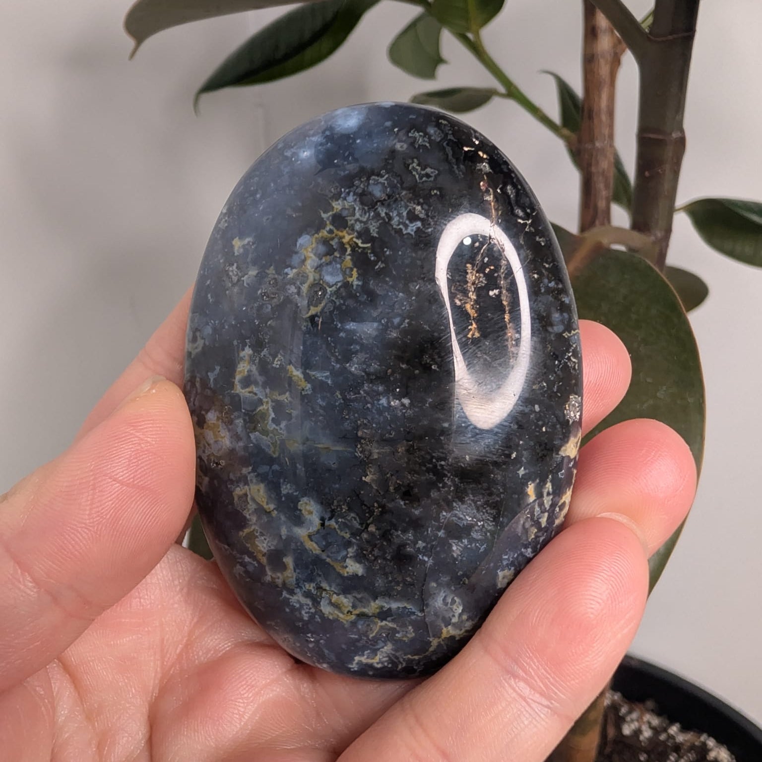 Blue Plume Agate Palmstone
