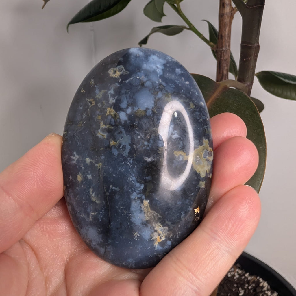 Blue Plume Agate Palmstone