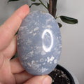 Blue Plume Agate Palmstone