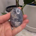 Blue Plume Agate Palmstone